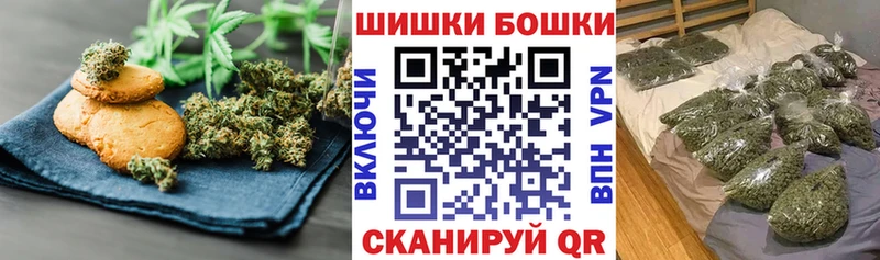 Canna-Cookies марихуана  Купить закладки  Ставрополь 
