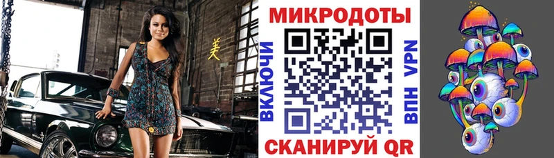 Купить закладки  Ставрополь  Псилоцибиновые грибы Cubensis 