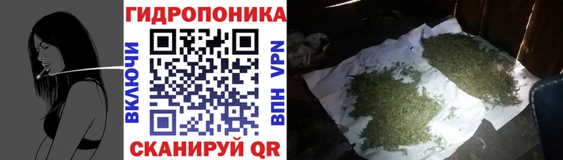 Купить где  Ставрополь  Бошки Шишки THC 21% 